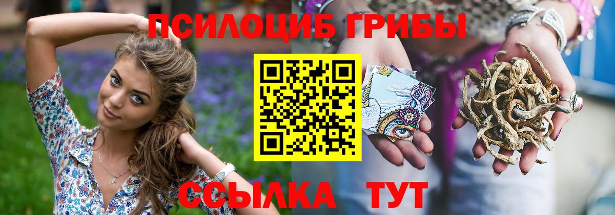 Галлюциногенные грибы прущие грибы Бердск